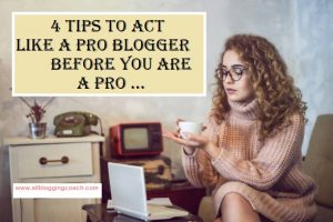 pro blogger 